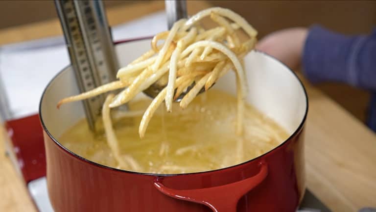 mcdonald's french fry experiment